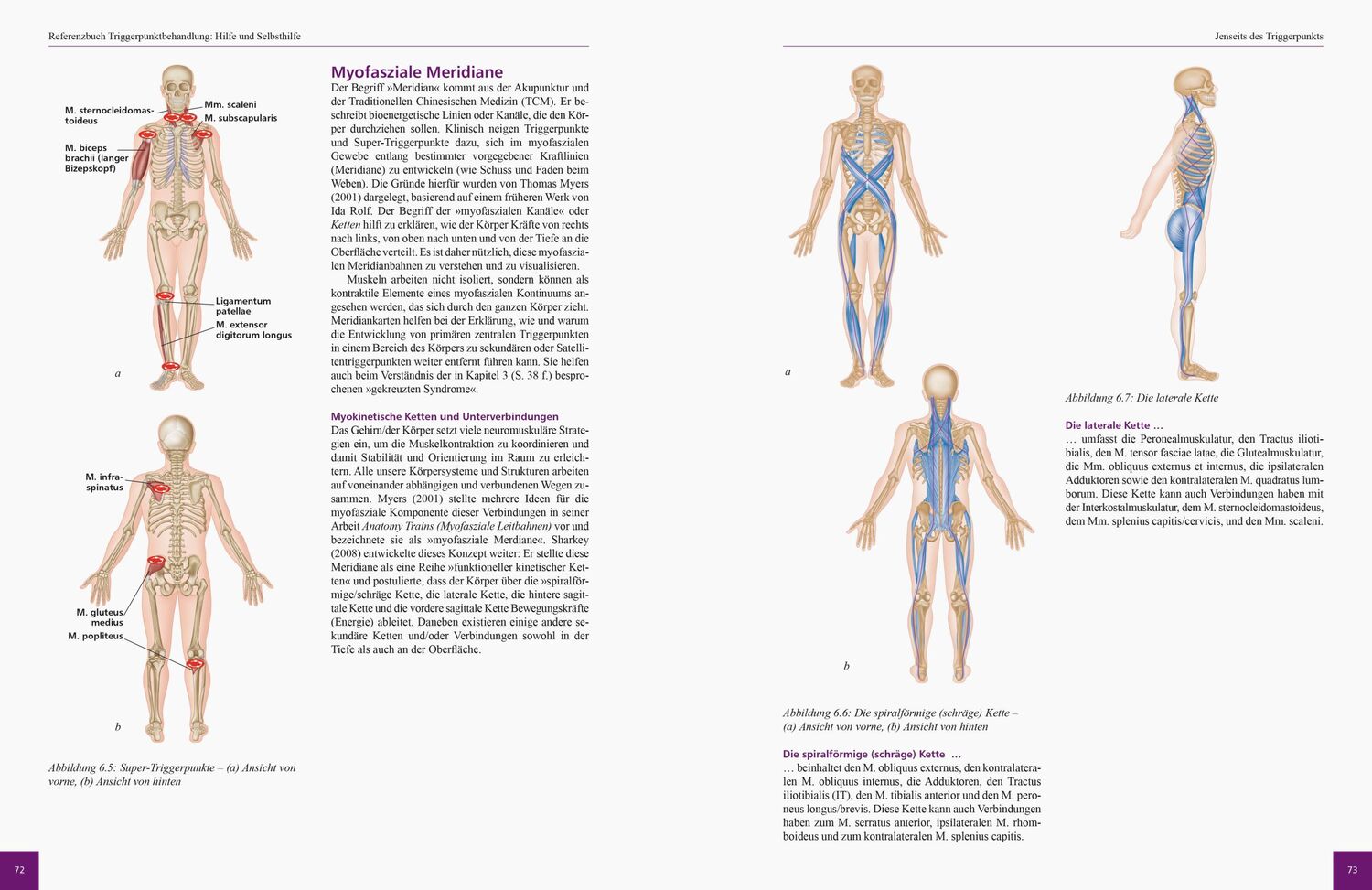 Bild: 9783767911055 | Referenzbuch Triggerpunkt Behandlung | Simeon Niel-Asher | Taschenbuch