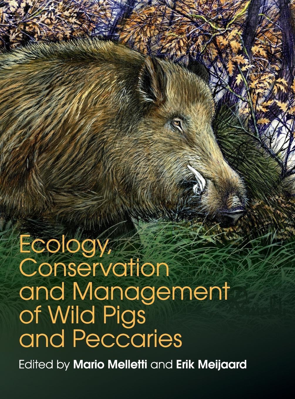 Cover: 9781107187313 | Ecology, Conservation and Management of Wild Pigs and Peccaries | Buch