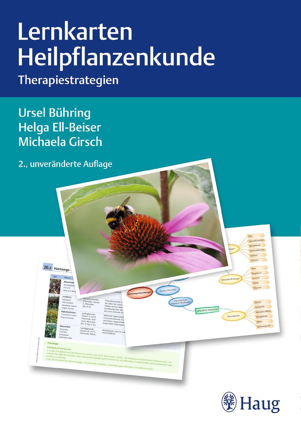 Cover: 9783132442993 | Lernkarten Heilpflanzenkunde | Therapiestrategien | Bühring (u. a.)