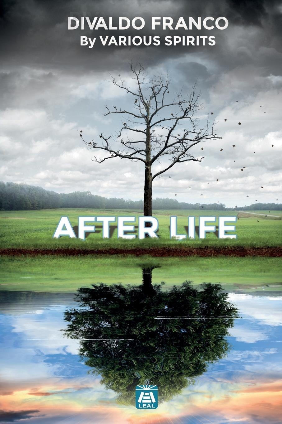 Cover: 9781947179905 | After Life | Divaldo Pereira Franco | Taschenbuch | Paperback | 2020