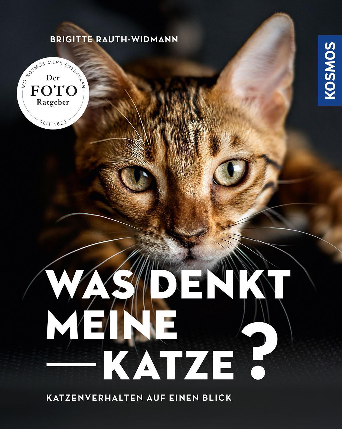 Cover: 9783440167885 | Was denkt meine Katze | Brigitte Rauth-Widmann | Taschenbuch | Deutsch