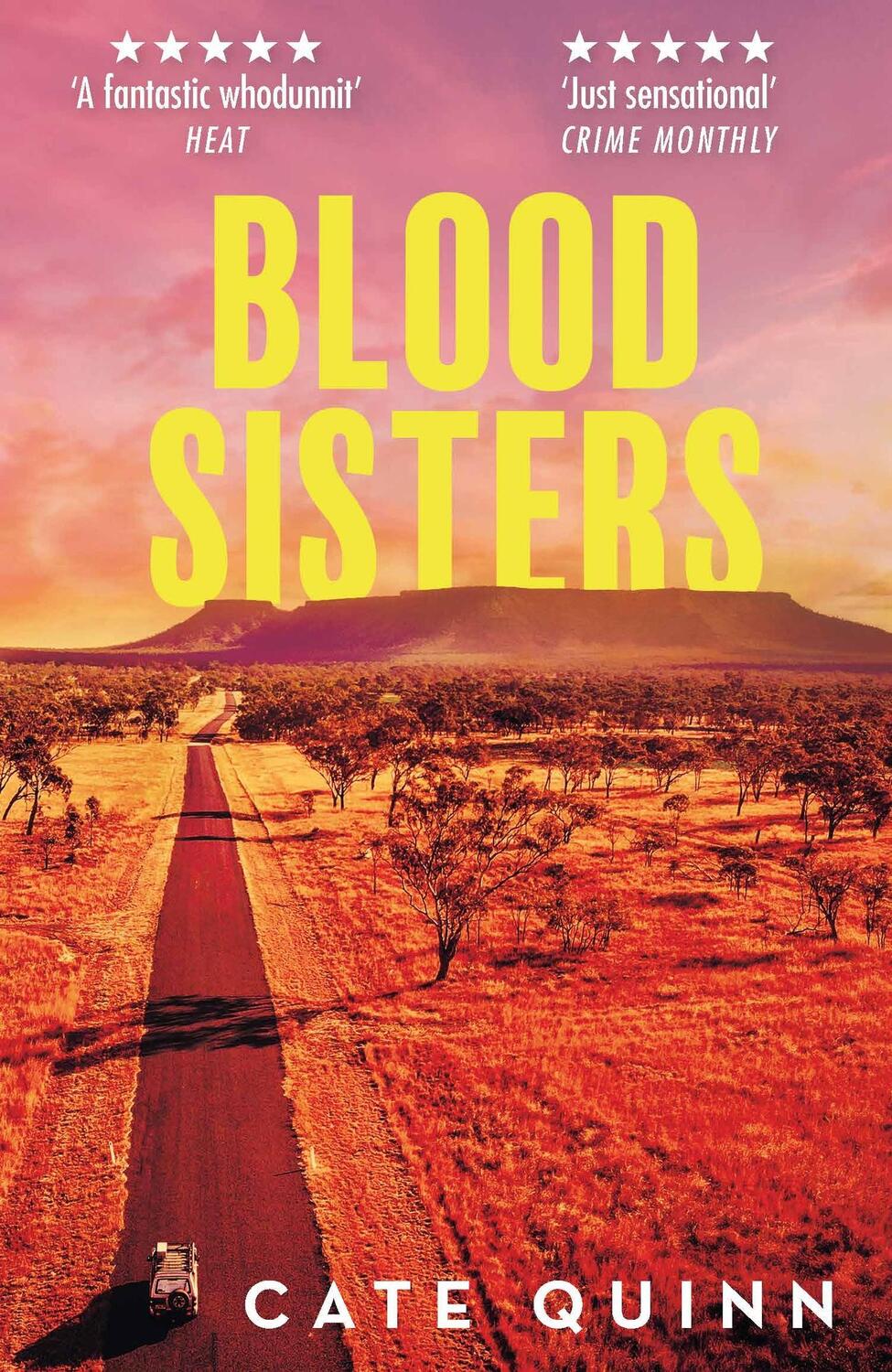 Cover: 9781409197027 | Blood Sisters | The Most Addictive Murder Mystery of 2023 | Cate Quinn