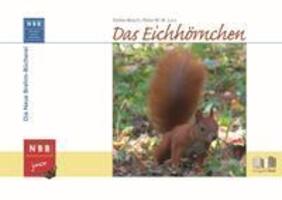 Cover: 9783894321406 | Das Eichhörnchen | Stefan Bosch (u. a.) | Buch | NBB junior | Deutsch