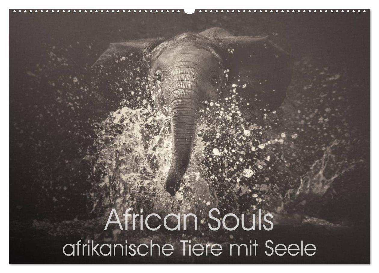 Cover: 9783675475496 | African Souls - afrikanische Tiere mit Seele (Wandkalender 2024 DIN...