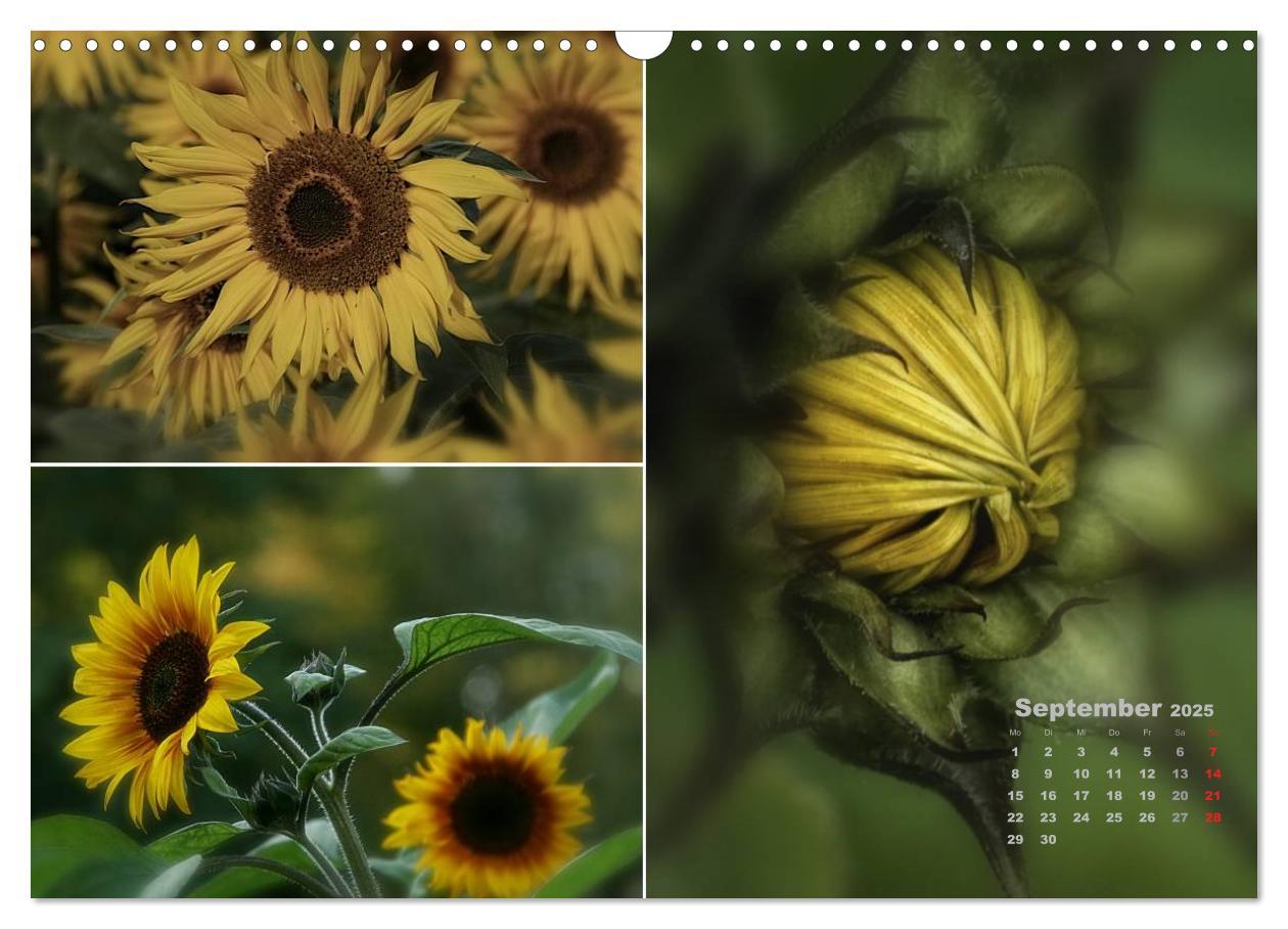 Bild: 9783435612109 | Blumenreise 2025 (Wandkalender 2025 DIN A3 quer), CALVENDO...