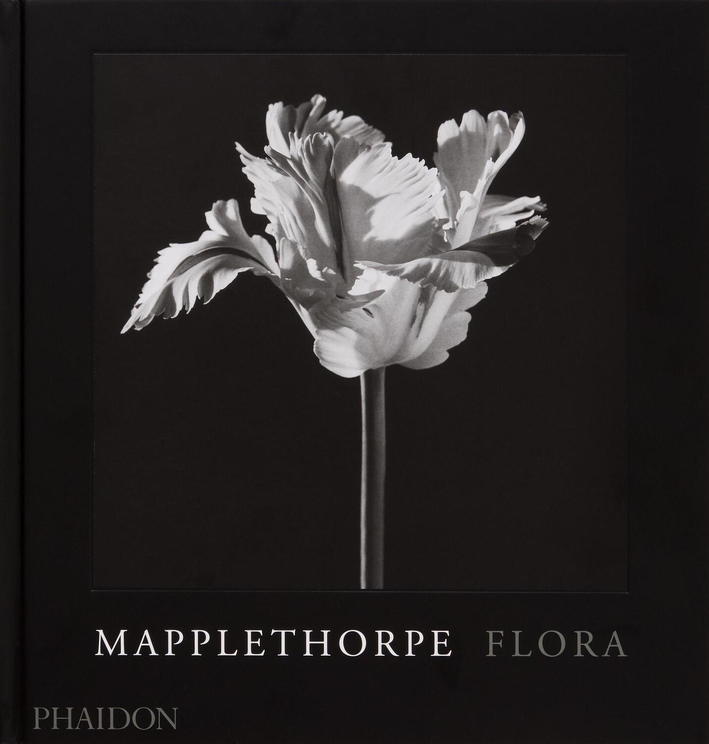 Cover: 9781838668211 | Mapplethorpe Flora | The Complete Flowers | Mark Holborn (u. a.)