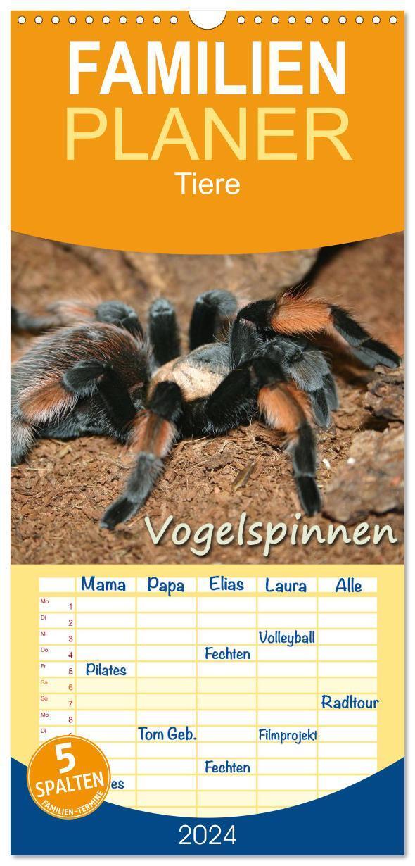 Cover: 9783383089336 | Familienplaner 2024 - Vogelspinnen mit 5 Spalten (Wandkalender, 21...