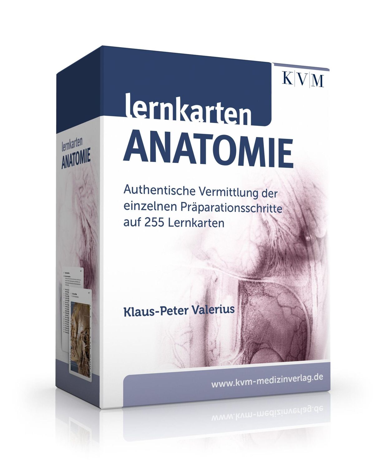 Cover: 9783868675689 | Lernkarten Anatomie | Klaus-Peter Valerius | Taschenbuch | 255 S.