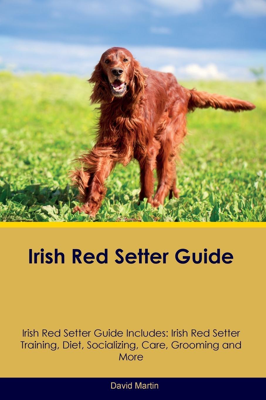 Cover: 9781395860899 | Irish Red Setter Guide Irish Red Setter Guide Includes | David Martin