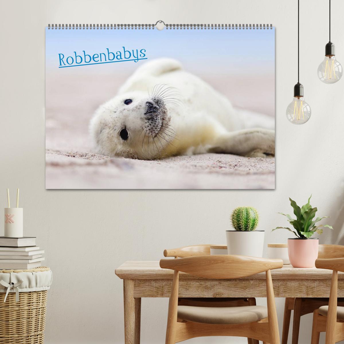 Bild: 9783435802913 | Robbenbabys (Wandkalender 2025 DIN A2 quer), CALVENDO Monatskalender