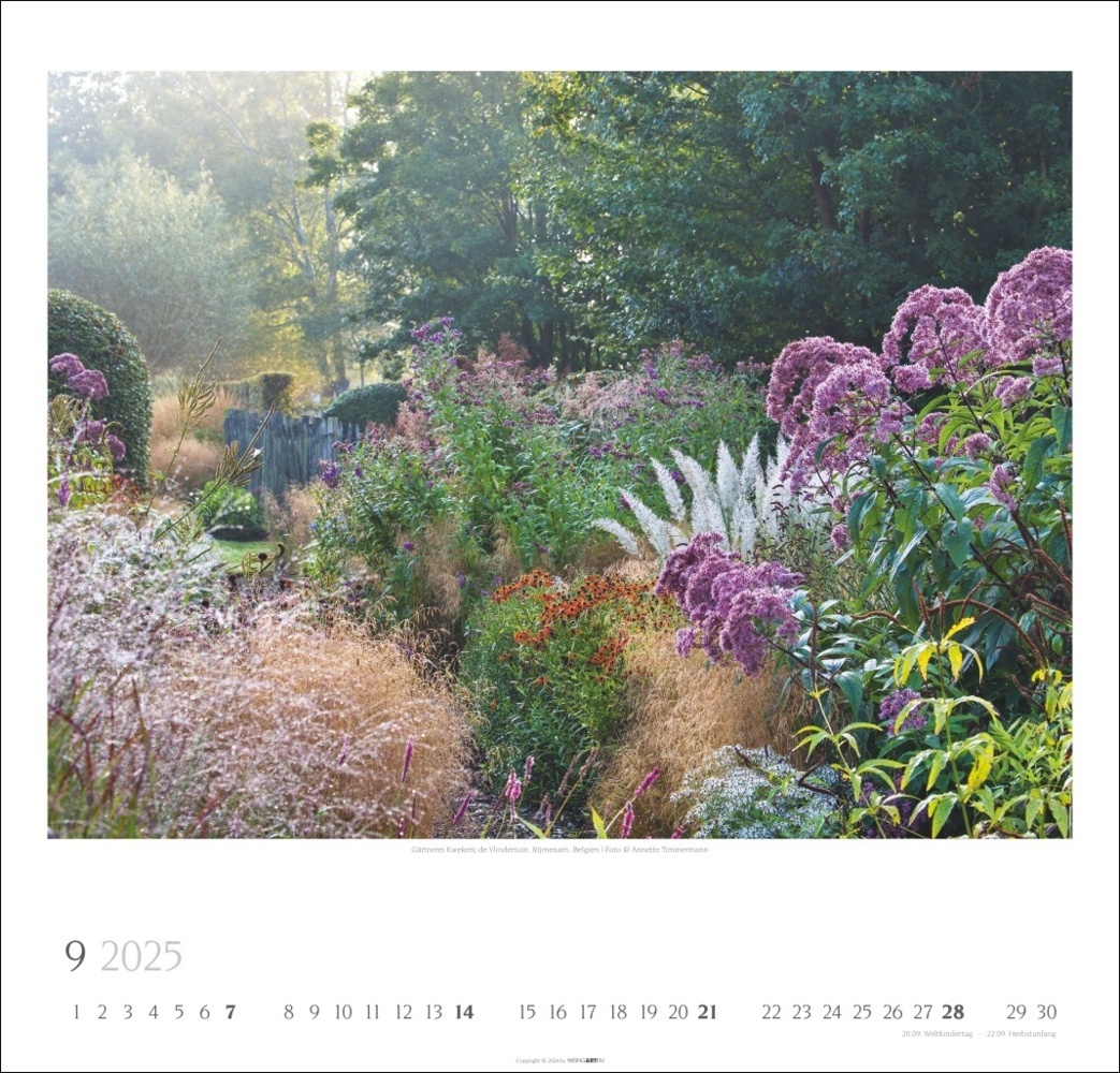 Bild: 9783839900307 | Gartenträume Kalender 2025 | Annette Timmermann | Kalender | 14 S.