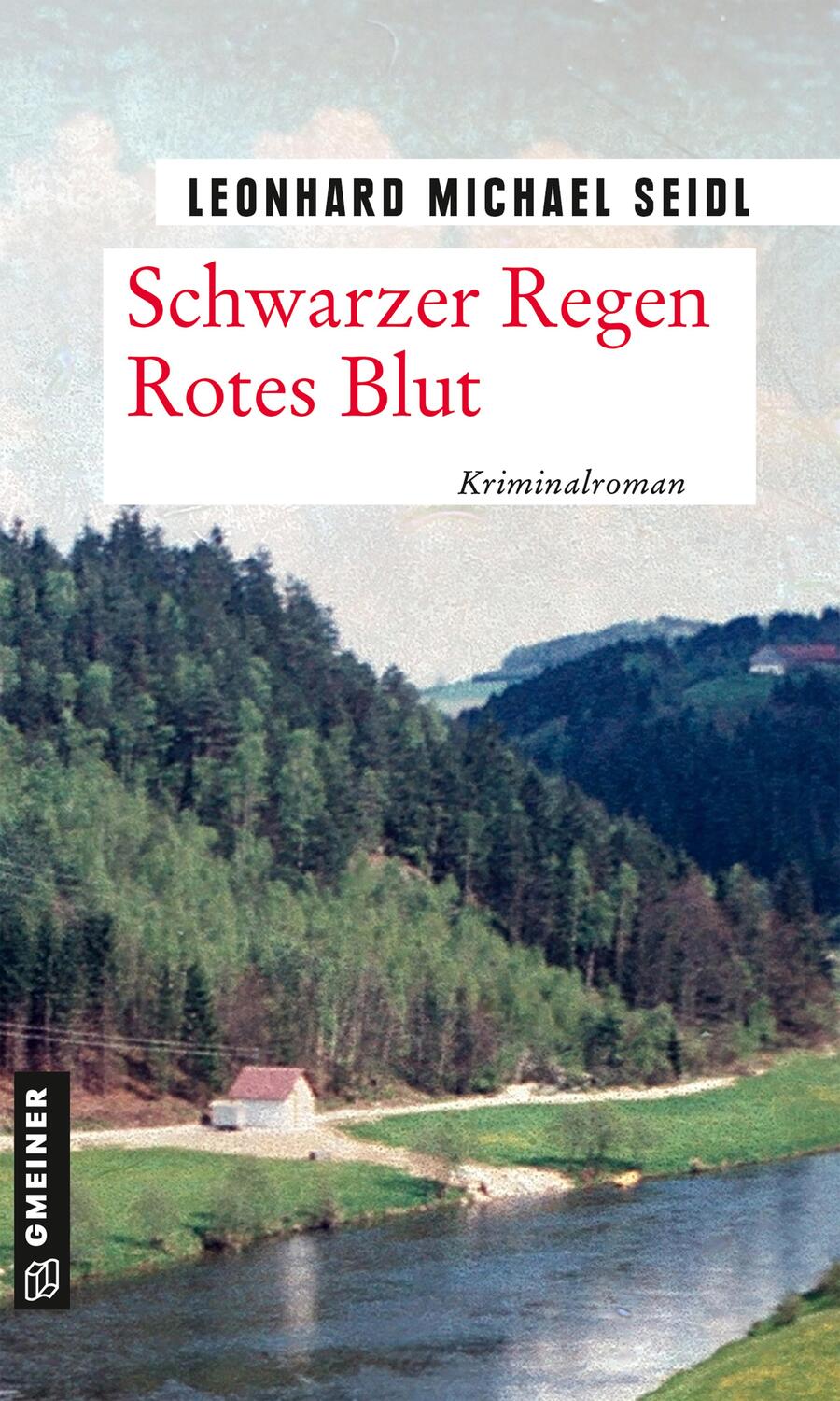 Cover: 9783839228579 | Schwarzer Regen Rotes Blut | Kriminalroman | Leonhard Michael Seidl