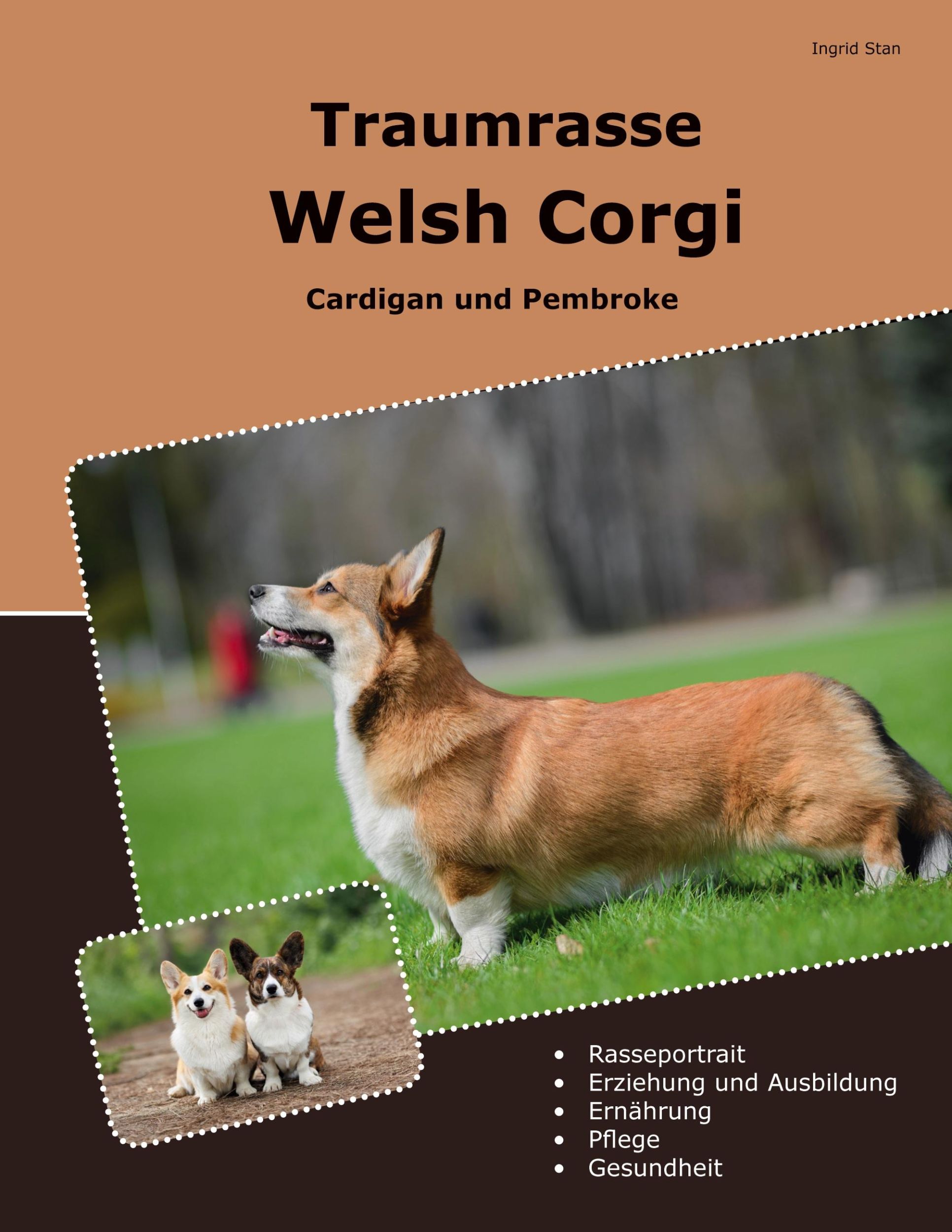 Cover: 9783769316391 | Traumrasse Welsh Corgi | Cardigan und Pembroke | Ingrid Stan | Buch