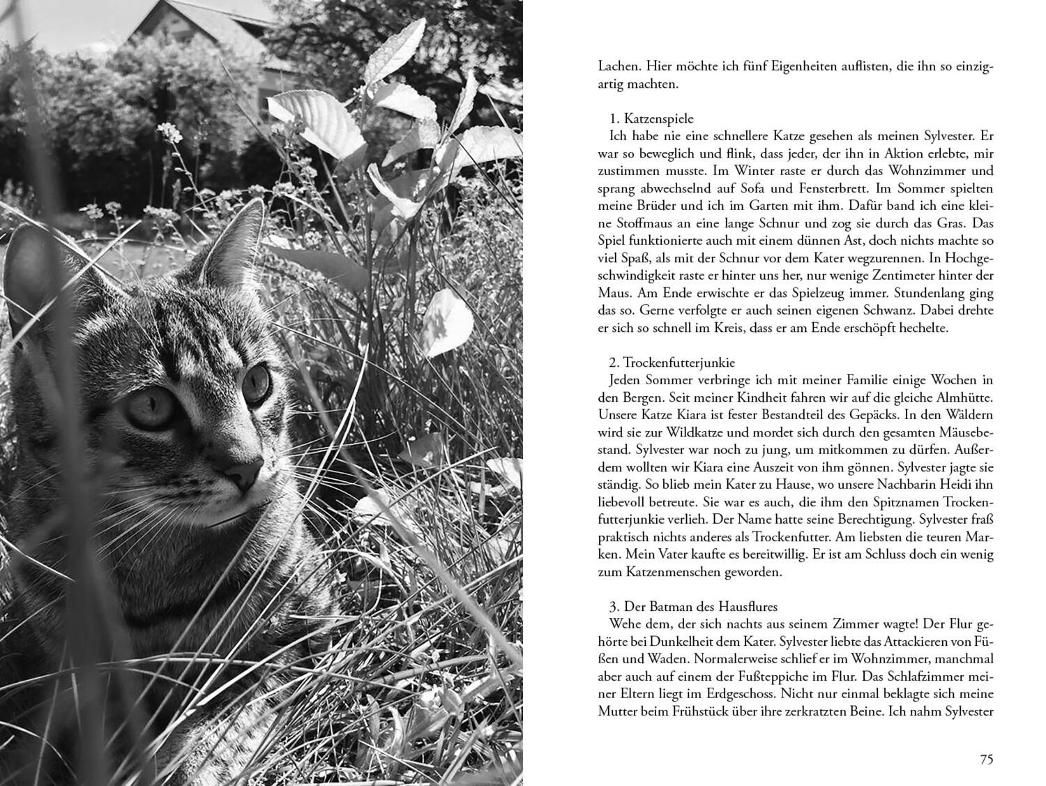 Bild: 9783990510827 | Meine Katze ... und ich | Geschichten über Samtpfoten und Kratzbürsten