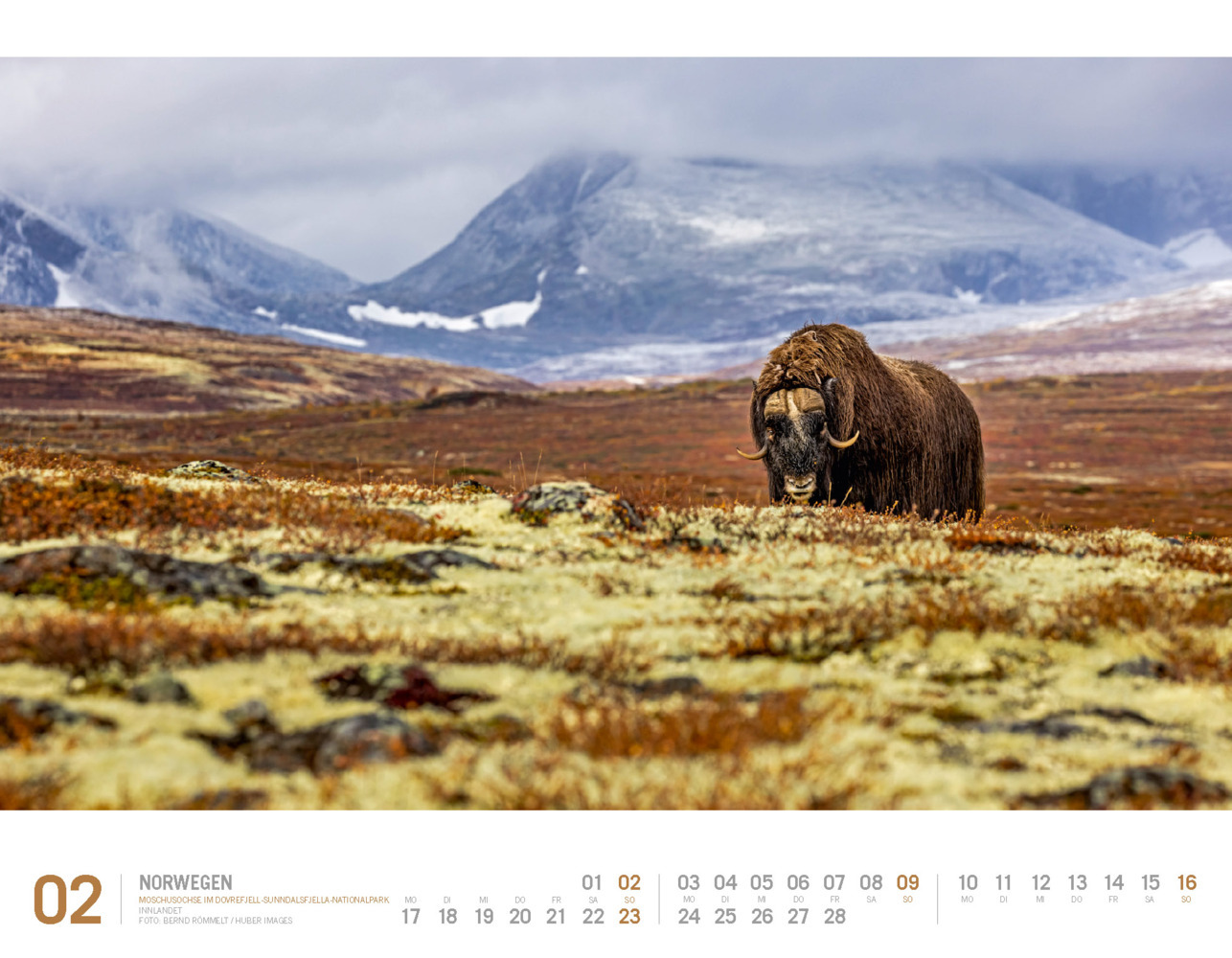 Bild: 9783838425467 | Norwegen - Unterwegs zwischen Fjordland und Nordkapp Kalender 2025