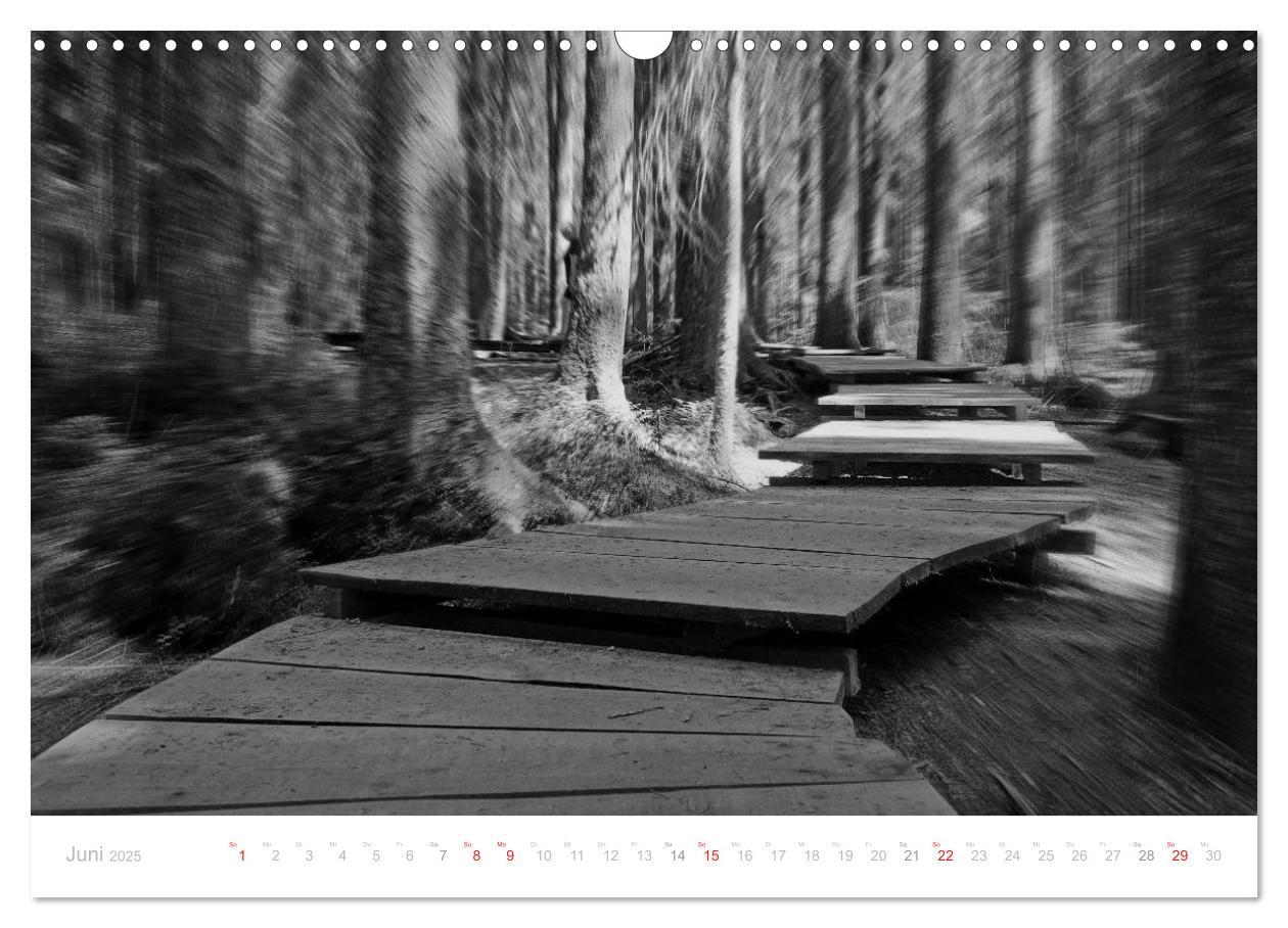 Bild: 9783435514540 | Mystischer Schwarzwald (Wandkalender 2025 DIN A3 quer), CALVENDO...