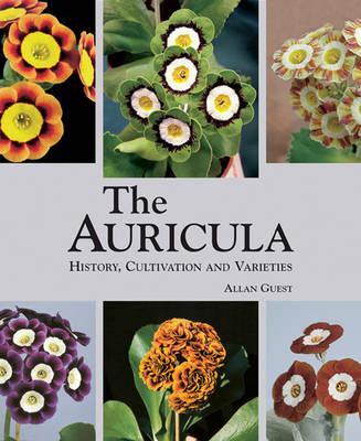 Cover: 9781870673624 | Auricula: History, Cultivation and Varieties | Allan Guest | Buch