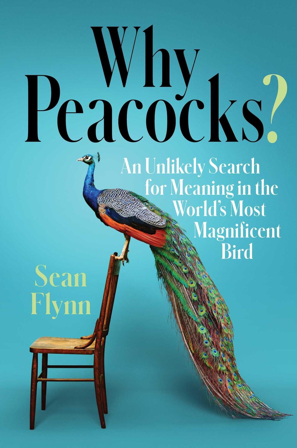 Cover: 9781982101077 | Why Peacocks?: An Unlikely Search for Meaning in the World's Most...