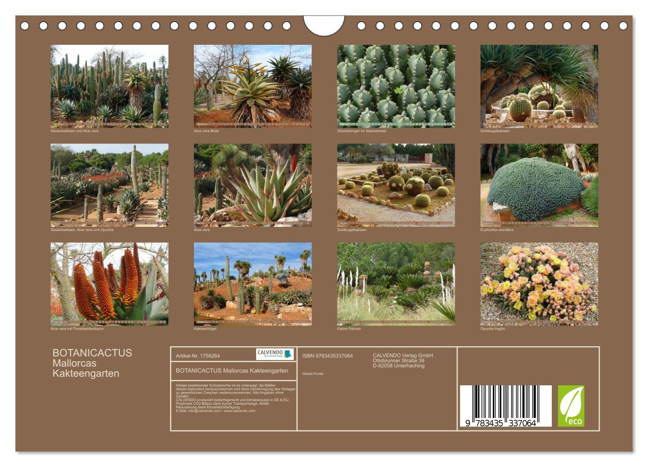 Bild: 9783435337064 | BOTANICACTUS Mallorcas Kakteengarten (Wandkalender 2025 DIN A4...