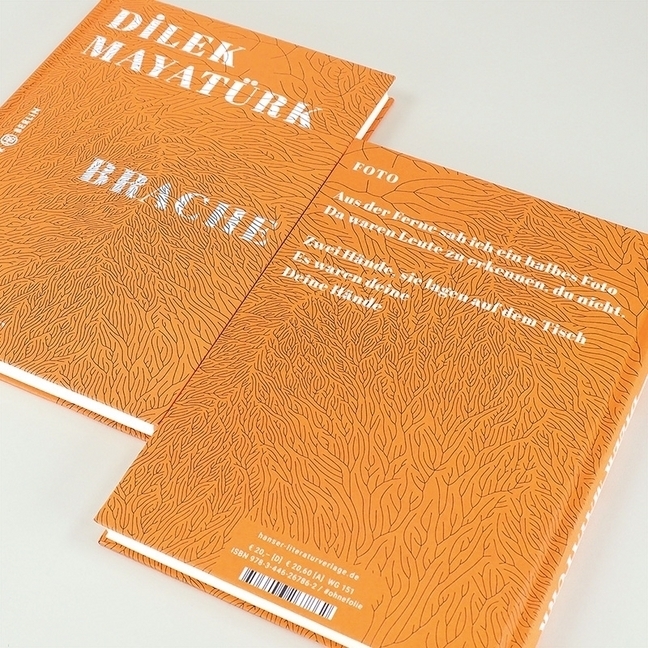 Bild: 9783446267862 | Brache | Gedichte | Dilek Mayatürk | Buch | Deutsch | 2020
