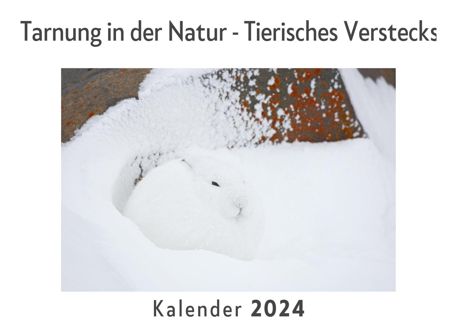 Cover: 9783750554252 | Tarnung in der Natur - Tierisches Versteckspiel (Wandkalender 2024,...