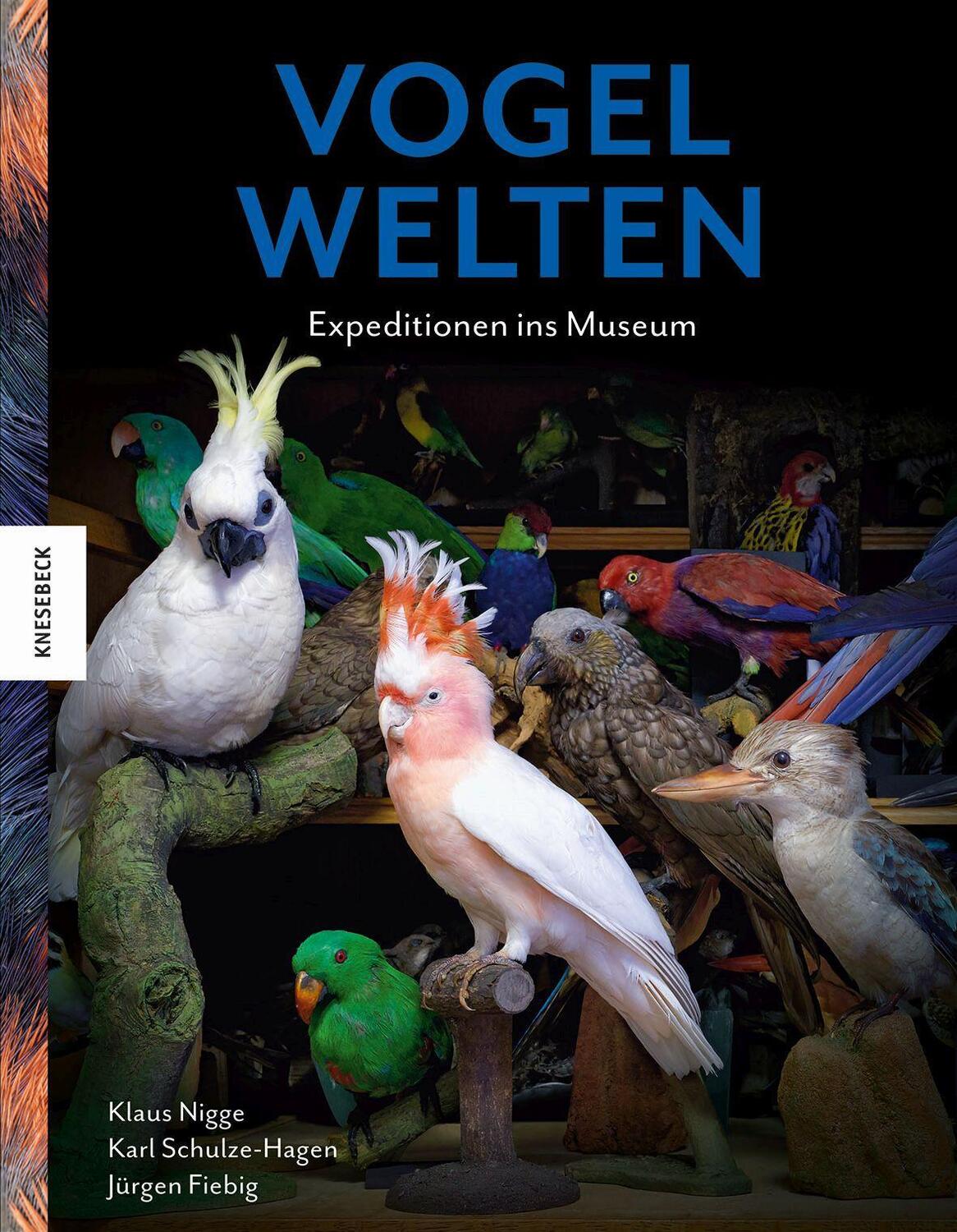 Cover: 9783957284105 | Vogelwelten | Expeditionen ins Museum | Klaus Nigge (u. a.) | Buch