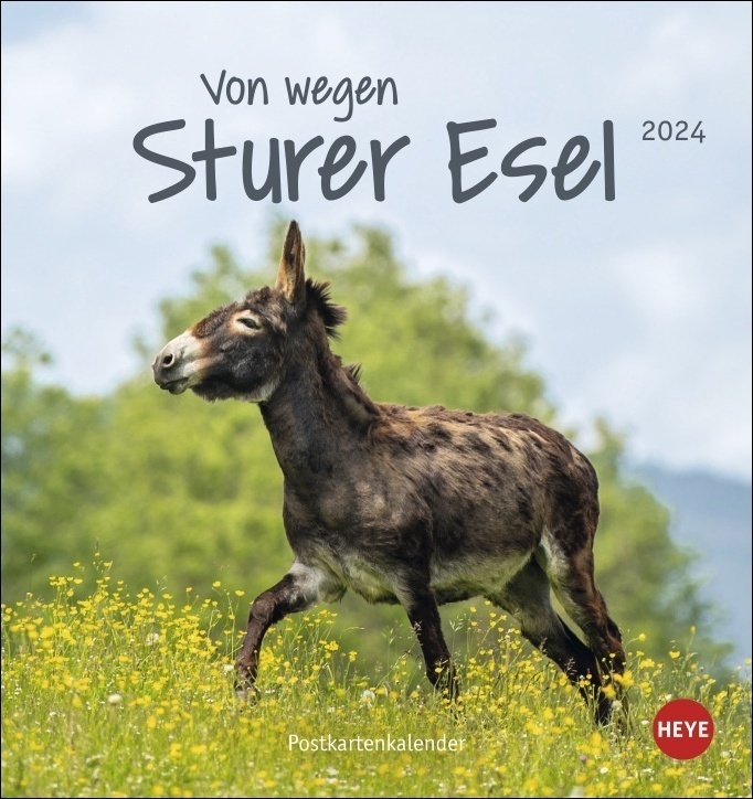 Cover: 9783756401307 | Esel - Von wegen sturer Esel Postkartenkalender 2024. Kleiner...