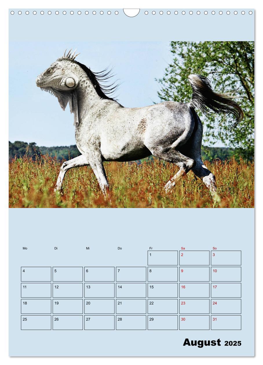 Bild: 9783435979189 | Seltsame Tiere - da stimmt doch was nicht... (Wandkalender 2025 DIN...