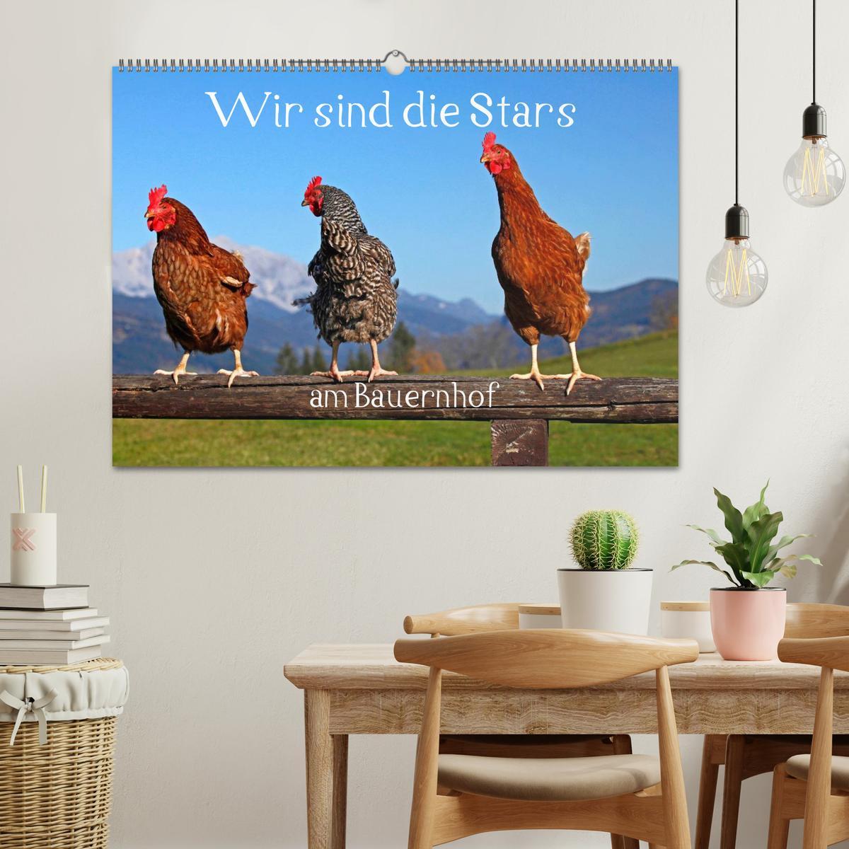 Bild: 9783435492770 | Wir sind die Stars am Bauernhof (Wandkalender 2025 DIN A2 quer),...