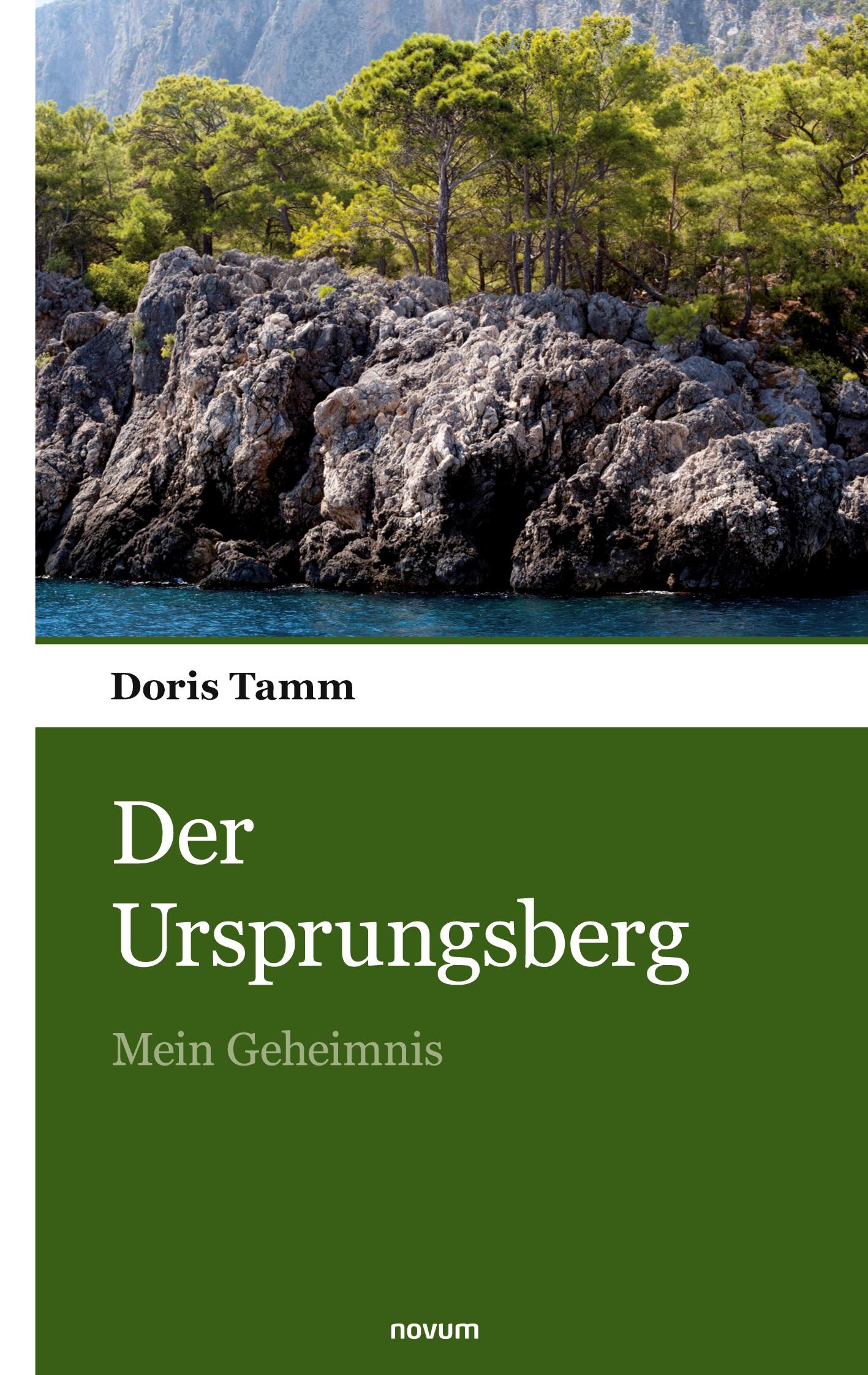 Cover: 9783903468641 | Der Ursprungsberg | Mein Geheimnis | Doris Tamm | Taschenbuch | 60 S.