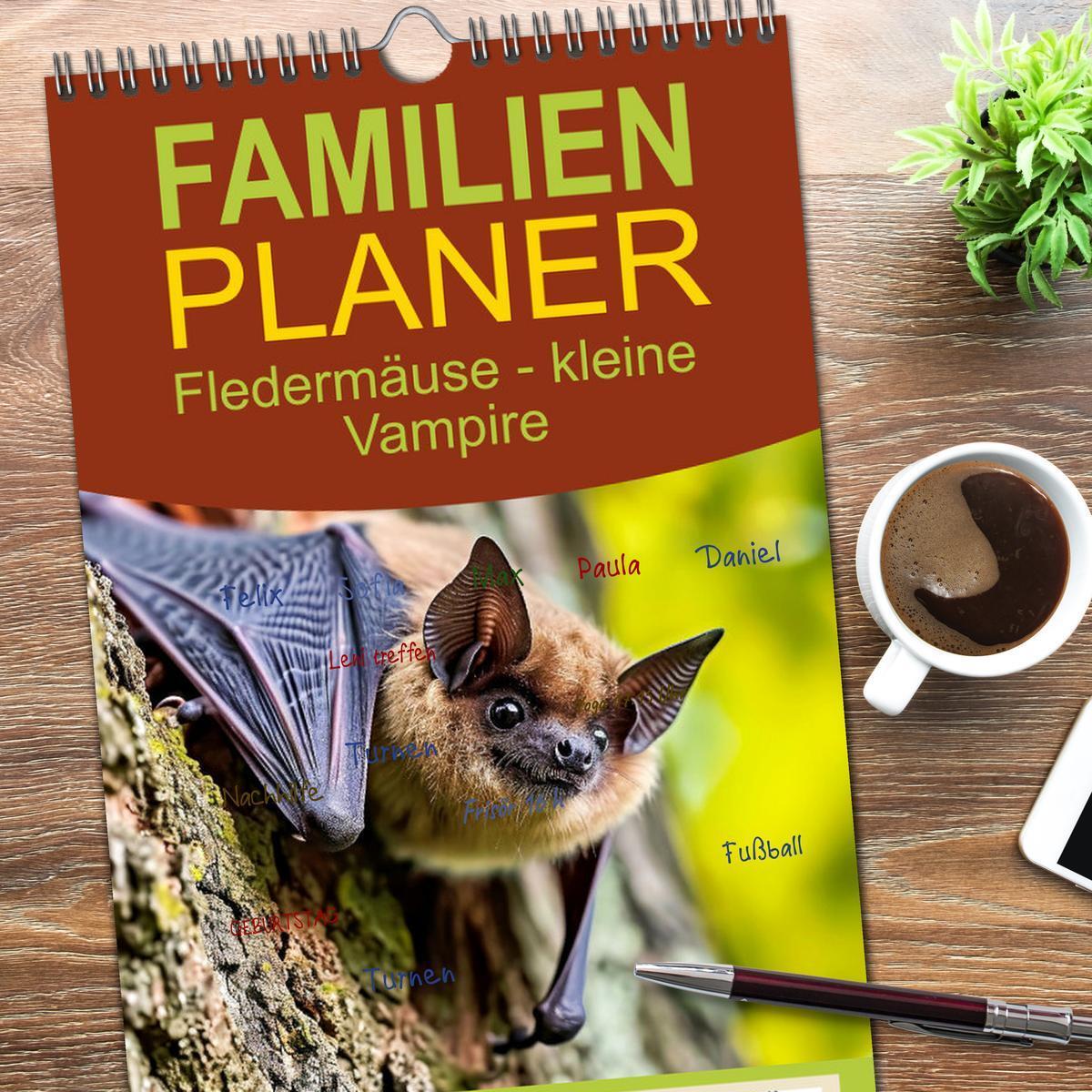 Bild: 9783457199305 | Familienplaner 2025 - Fledermäuse - kleine Vampire mit 5 Spalten...