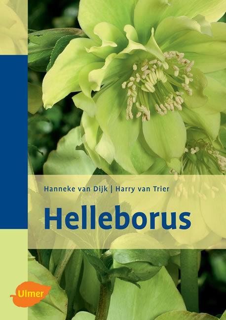 Cover: 9783800149124 | Helleborus | Hanneke van Dijk (u. a.) | Buch | 144 S. | Deutsch | 2006