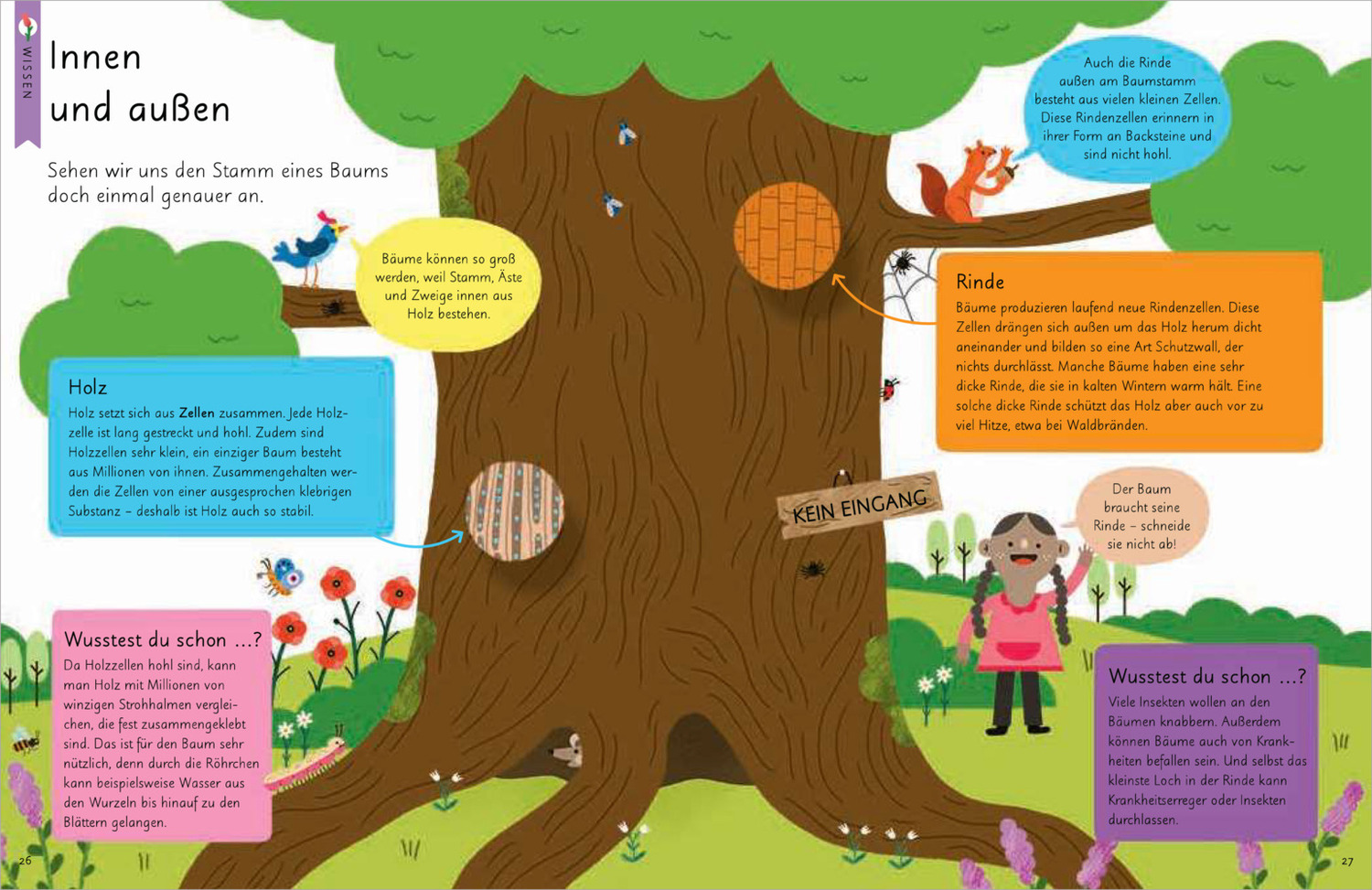 Bild: 9783809443032 | Kennst du die Natur? - Bäume. Das Aktiv- und Wissensbuch für Kinder...