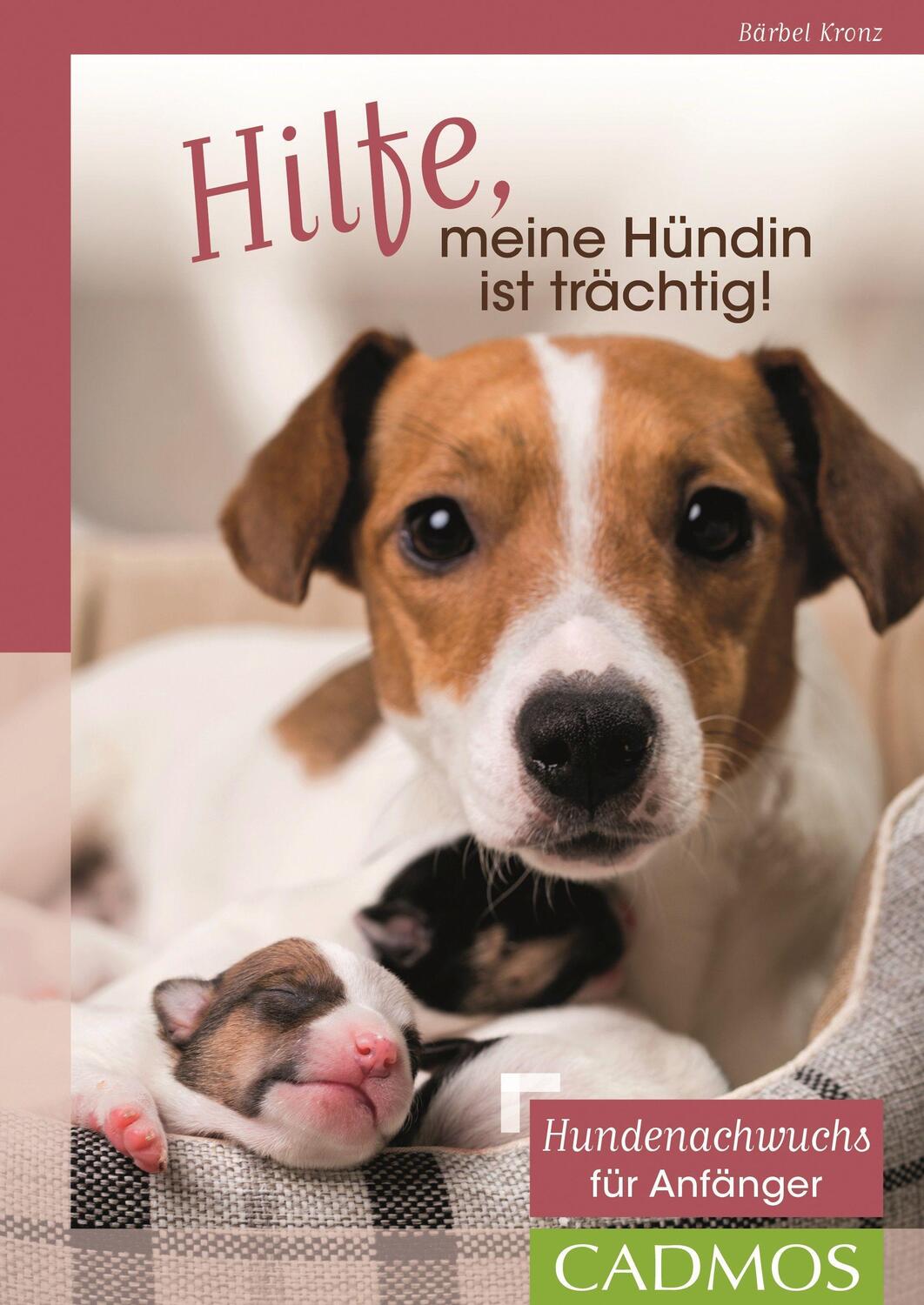 Cover: 9783840420641 | Hilfe, meine Hündin ist trächtig! | Hundenachwuchs für Anfänger | Buch