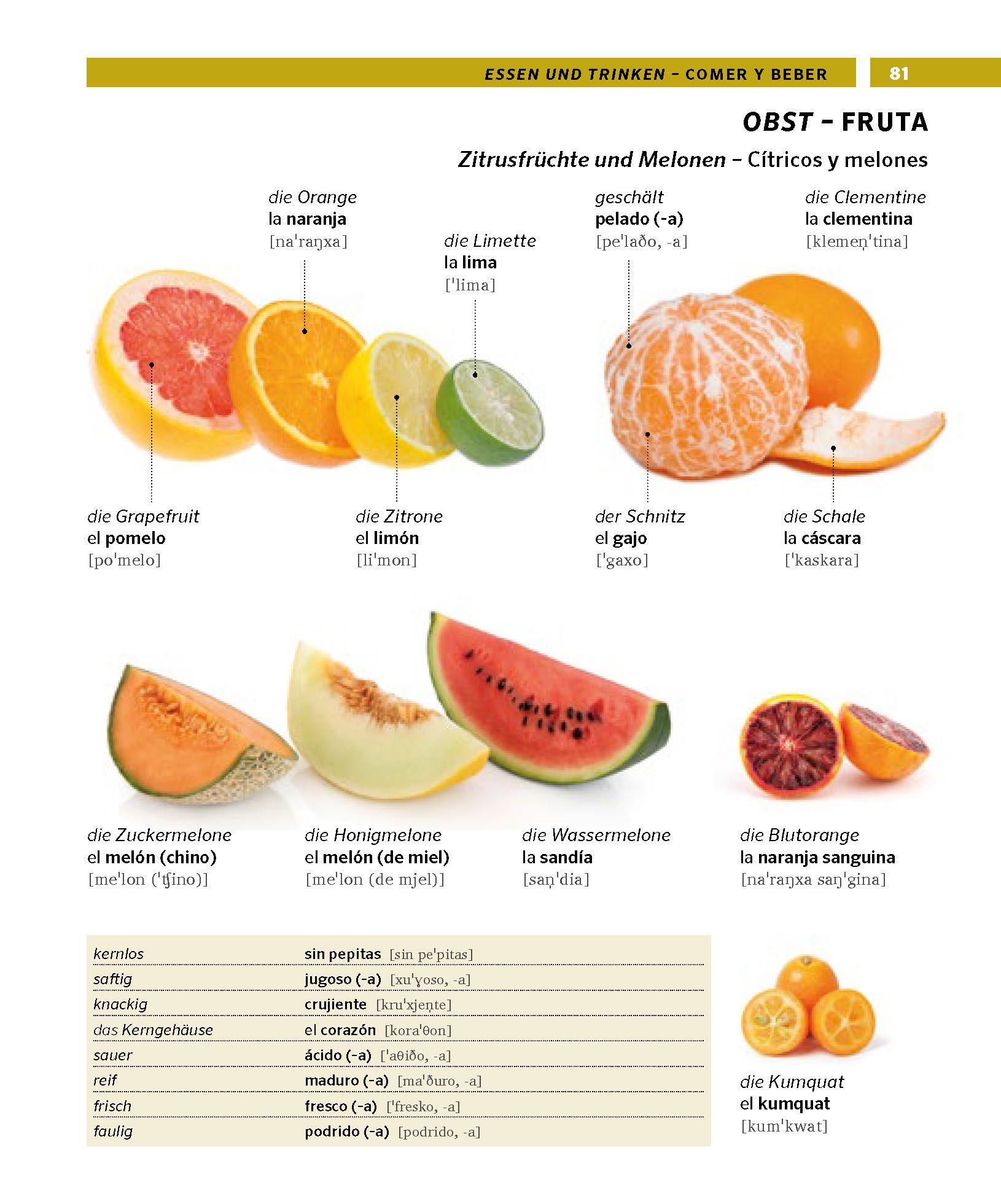 Bild: 9783125164147 | PONS Bildwörterbuch Spanisch | Taschenbuch | PONS Bildwörterbuch