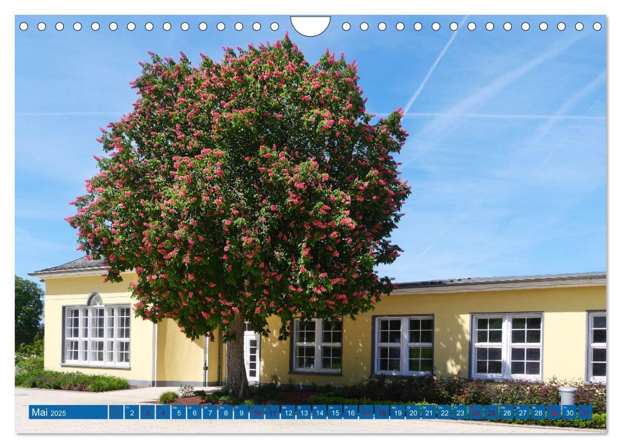 Bild: 9783435048021 | Bad Nenndorf, Kurpark-Impressionen (Wandkalender 2025 DIN A4 quer),...