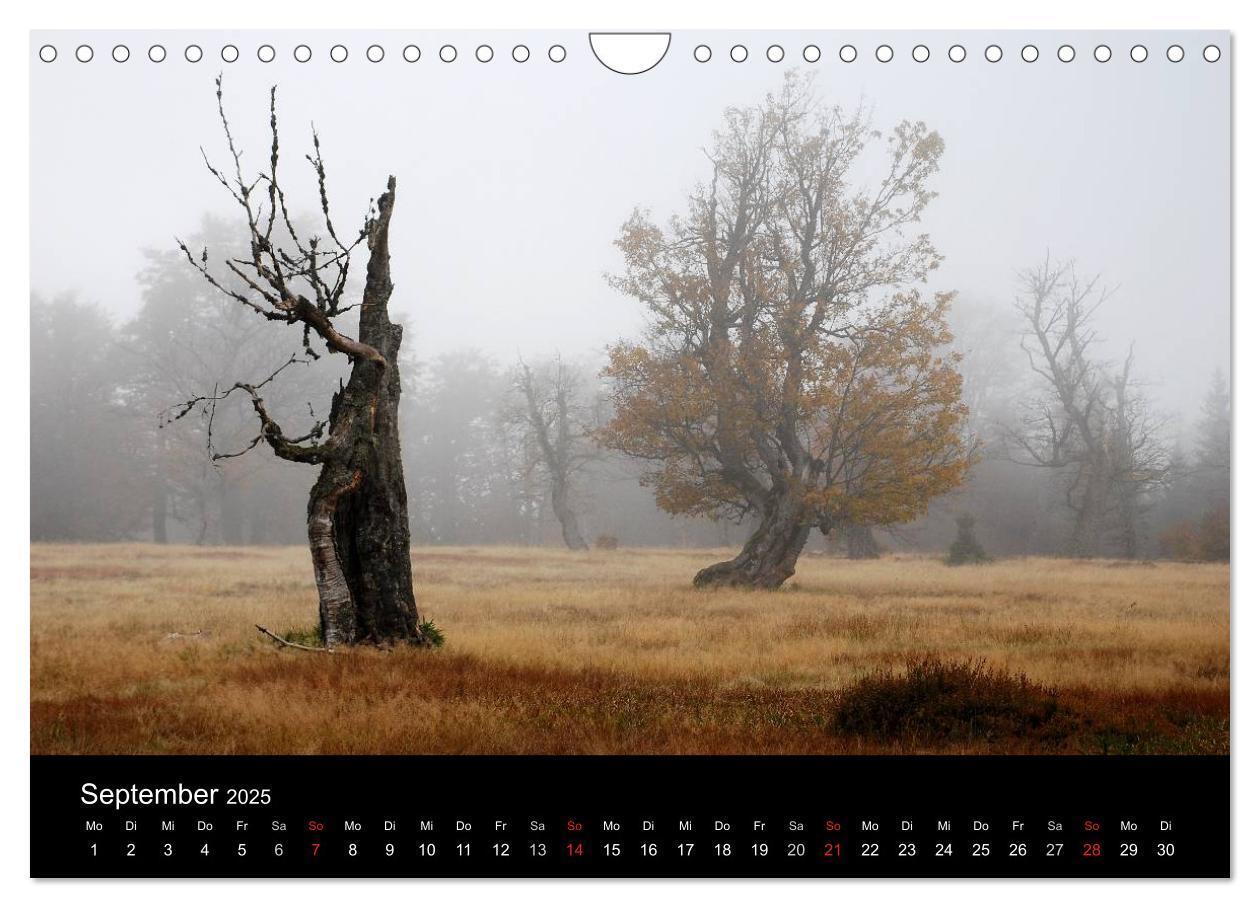 Bild: 9783435520114 | Zauberhafter Bayerischer Wald (Wandkalender 2025 DIN A4 quer),...