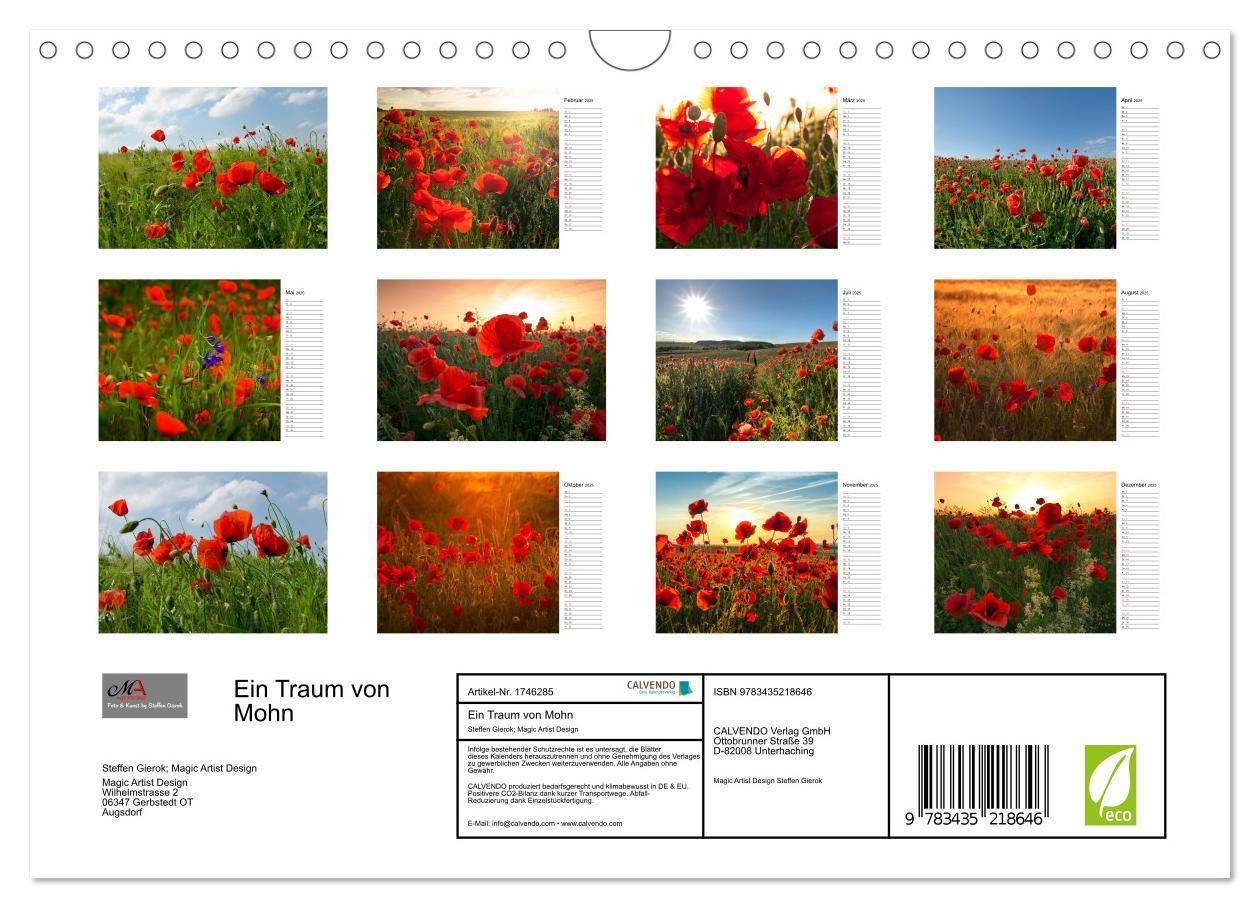 Bild: 9783435218646 | Ein Traum von Mohn (Wandkalender 2025 DIN A4 quer), CALVENDO...