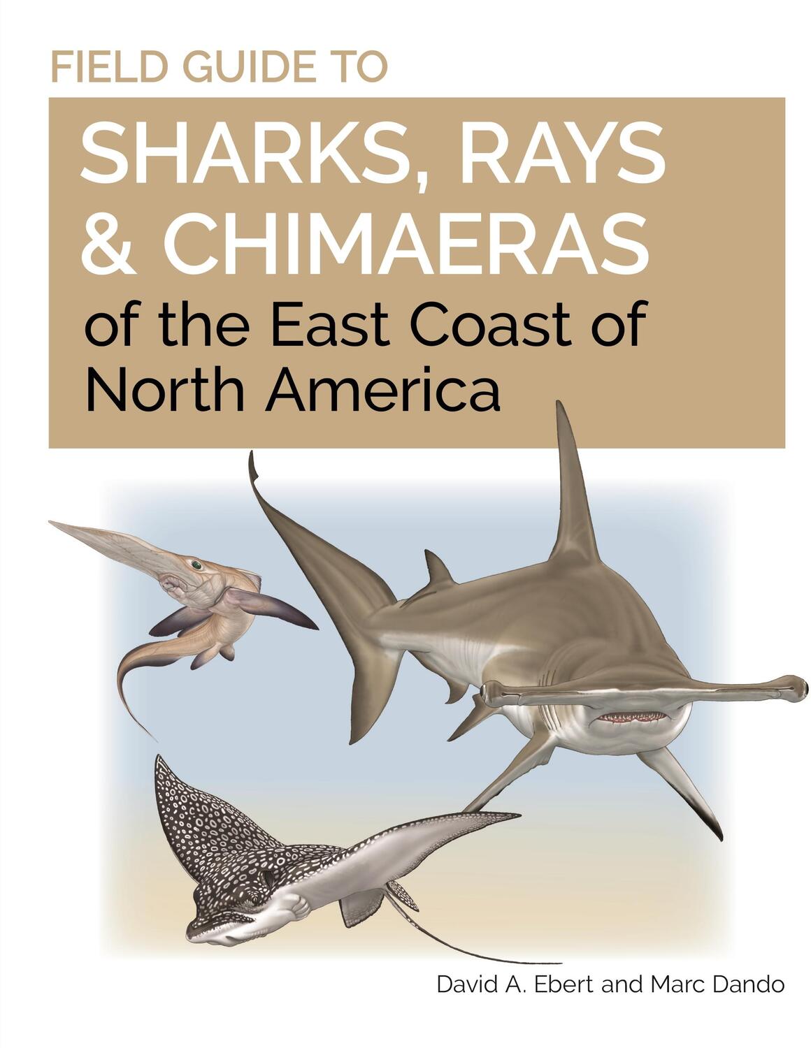 Cover: 9780691206387 | Field Guide to Sharks, Rays and Chimaeras of the East Coast of...