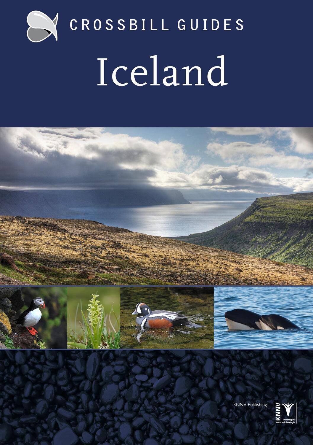 Cover: 9789491648038 | Iceland | Andy Jones | Taschenbuch | 2015 | EAN 9789491648038