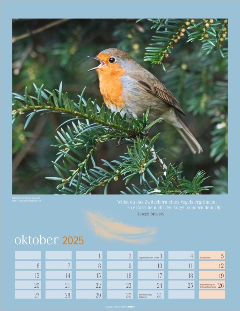 Bild: 9783839900710 | Heimische Vögel Kalender 2025 | Kalender | Spiralbindung | 14 S.