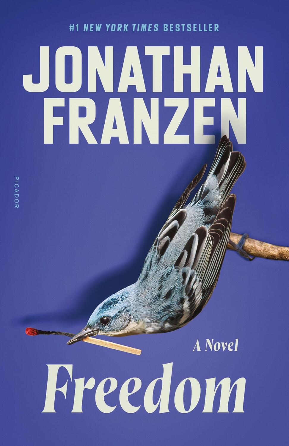 Cover: 9781250823991 | Freedom | Jonathan Franzen | Taschenbuch | Englisch | 2021 | PICADOR