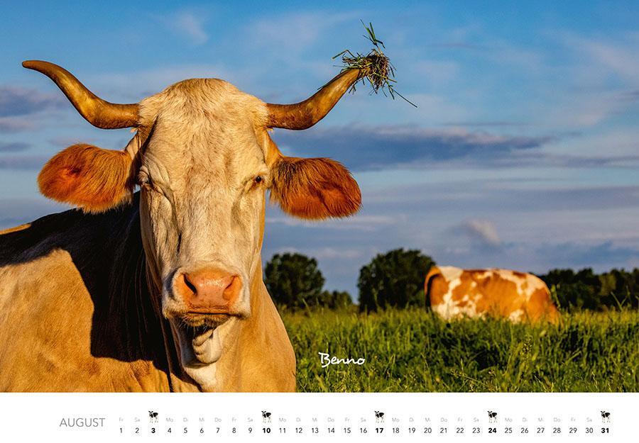 Bild: 9783966648226 | Kühe Kalender 2025 | Der Tierkalender mit den charmanten Namen | 14 S.