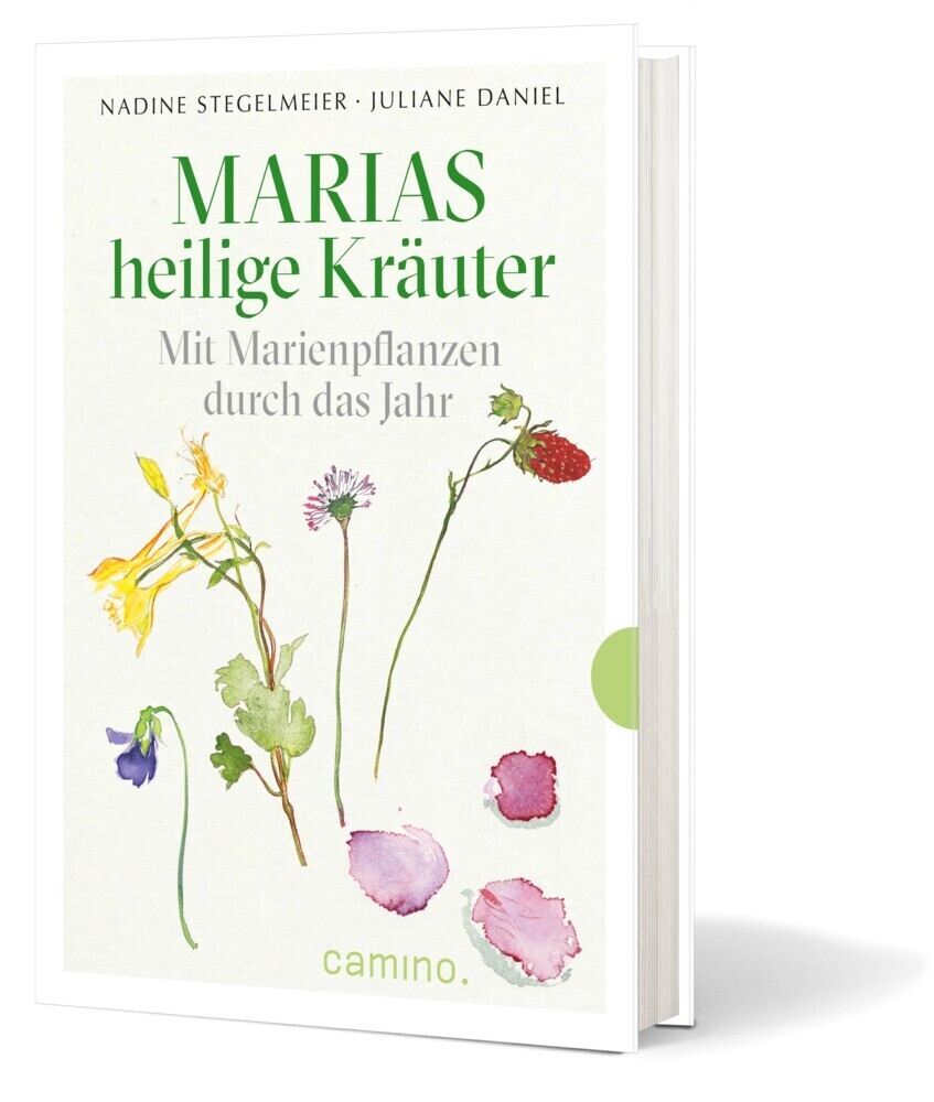Cover: 9783961571925 | Marias heilige Kräuter | mit Marienpflanzen durch das Jahr | Buch