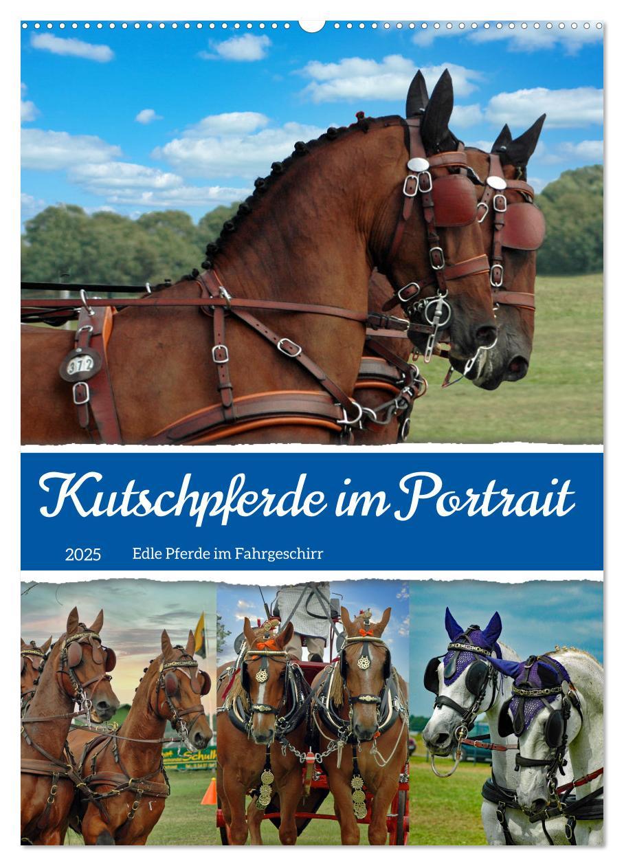 Cover: 9783435900244 | Kutschpferde im Portait (Wandkalender 2025 DIN A2 hoch), CALVENDO...