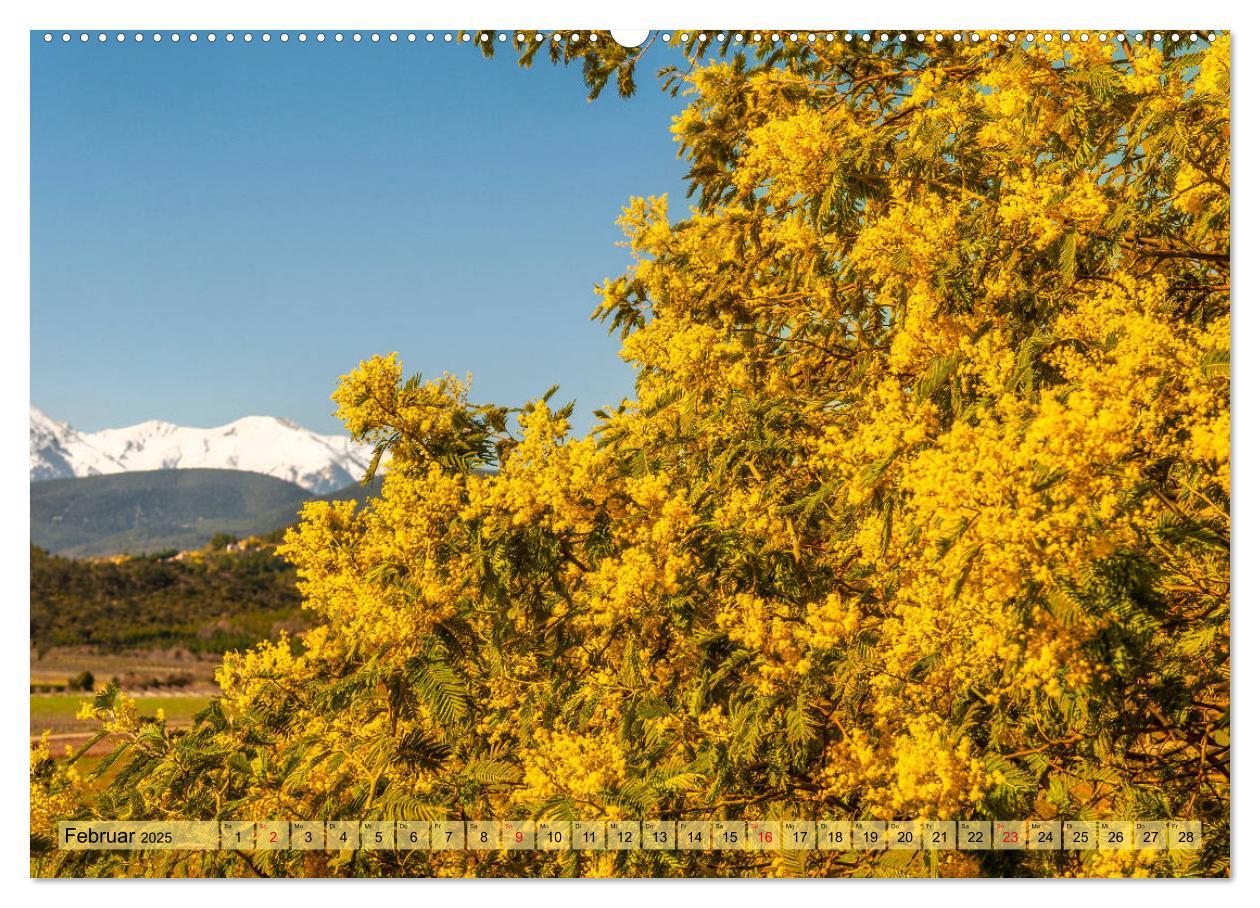 Bild: 9783435133635 | Pyrénées-Orientales. Naturschön: Frankreichs Perle im Süden...