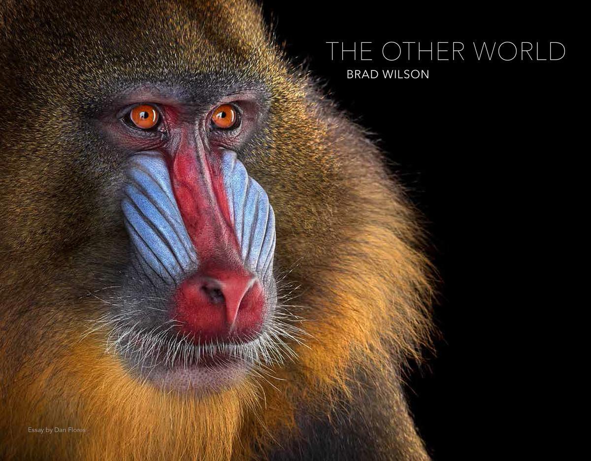 Cover: 9788862087476 | Brad Wilson: The Other World: Animal Portraits | Buch | Gebunden