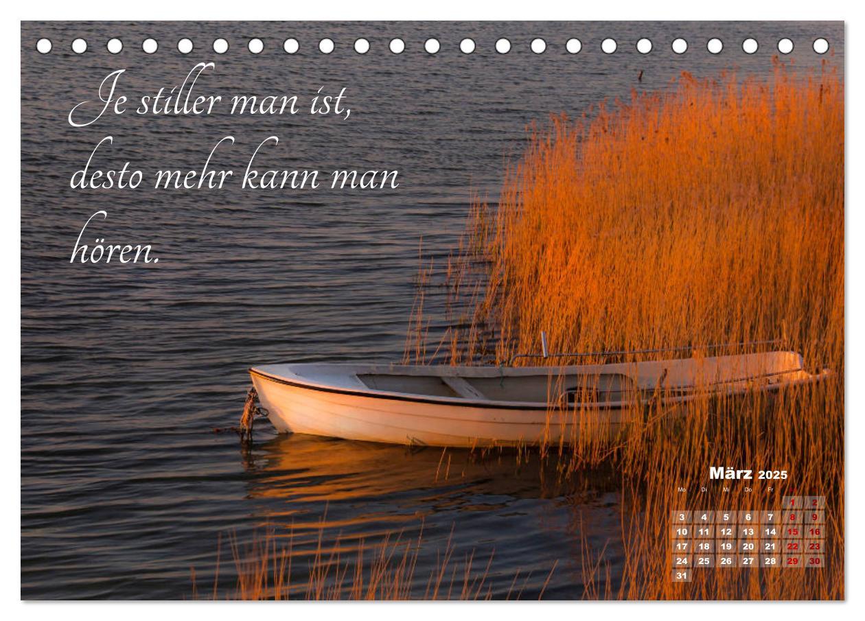 Bild: 9783435249077 | Chinesische Weisheiten (Tischkalender 2025 DIN A5 quer), CALVENDO...