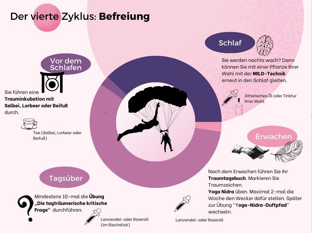 Bild: 9783039022496 | Klarkraut | Luzides träumen mit Heilpflanzen - eine Anleitung | Buch