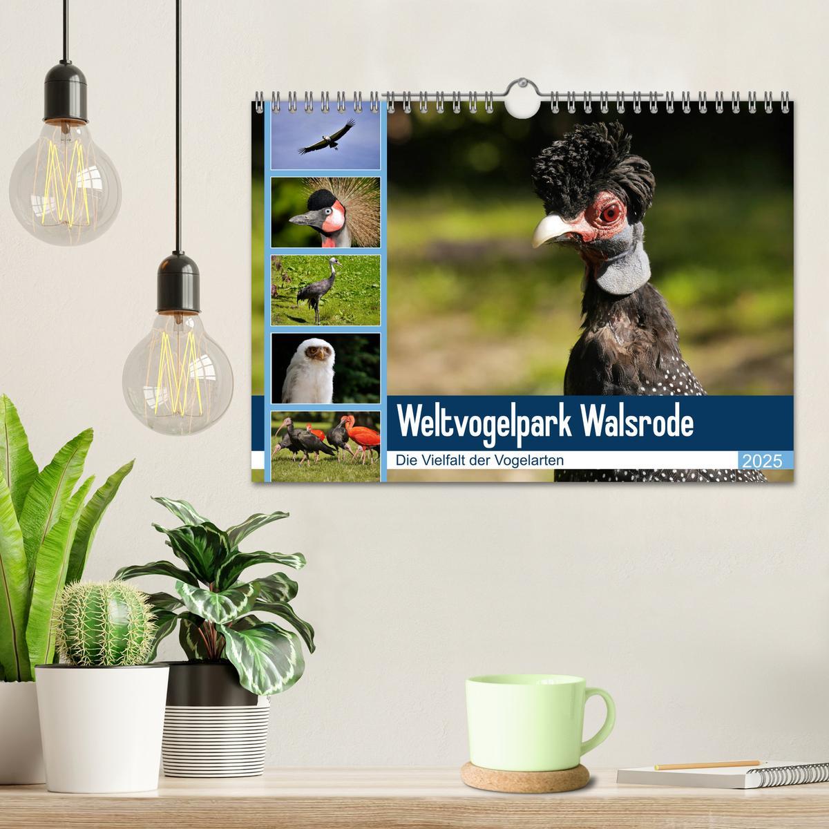 Bild: 9783435362516 | Weltvogelpark Walsrode - Die Vielfalt der Vogelarten (Wandkalender...